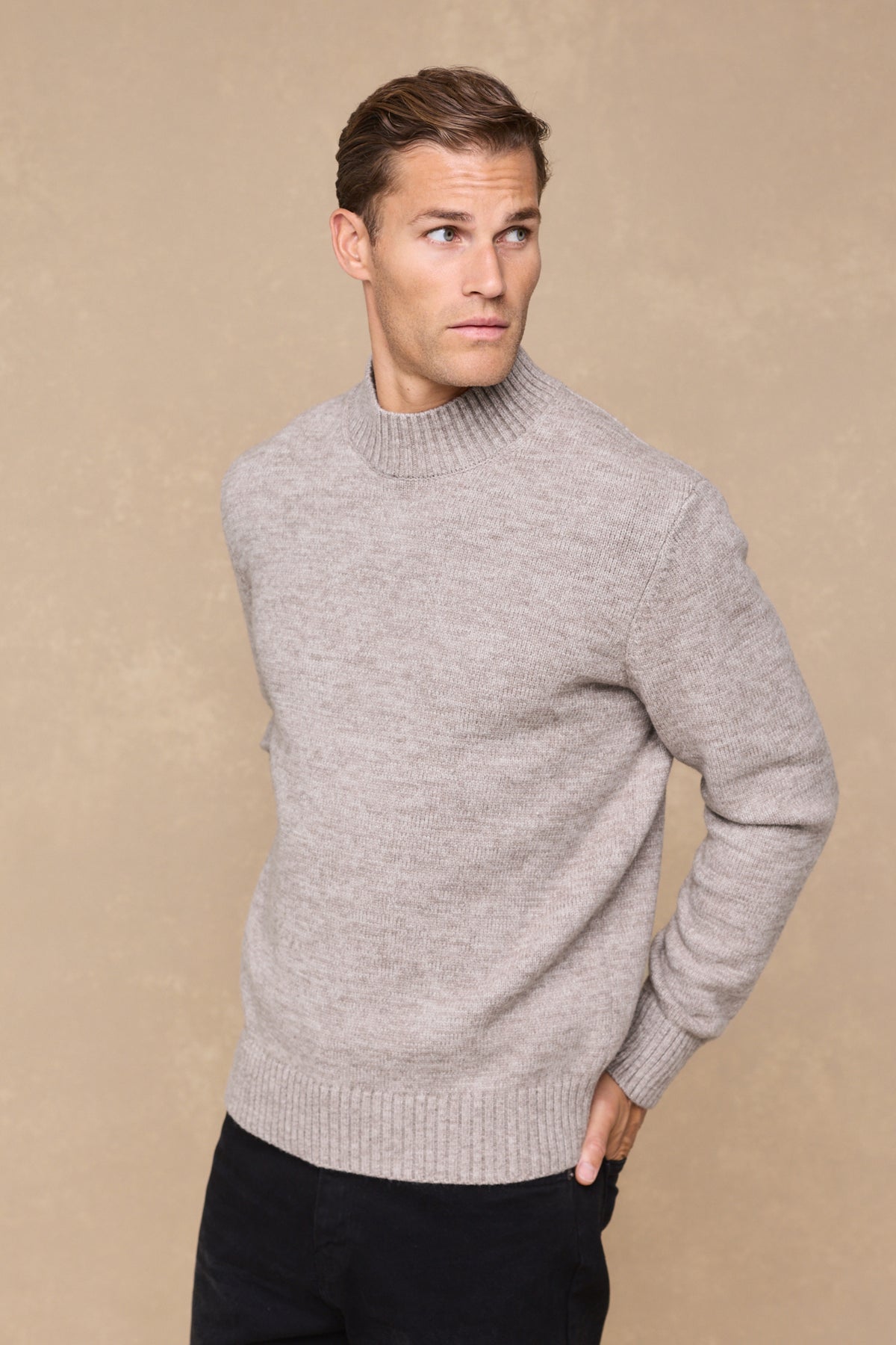 Delphi Crew Neck Knit - Light Brown Marl